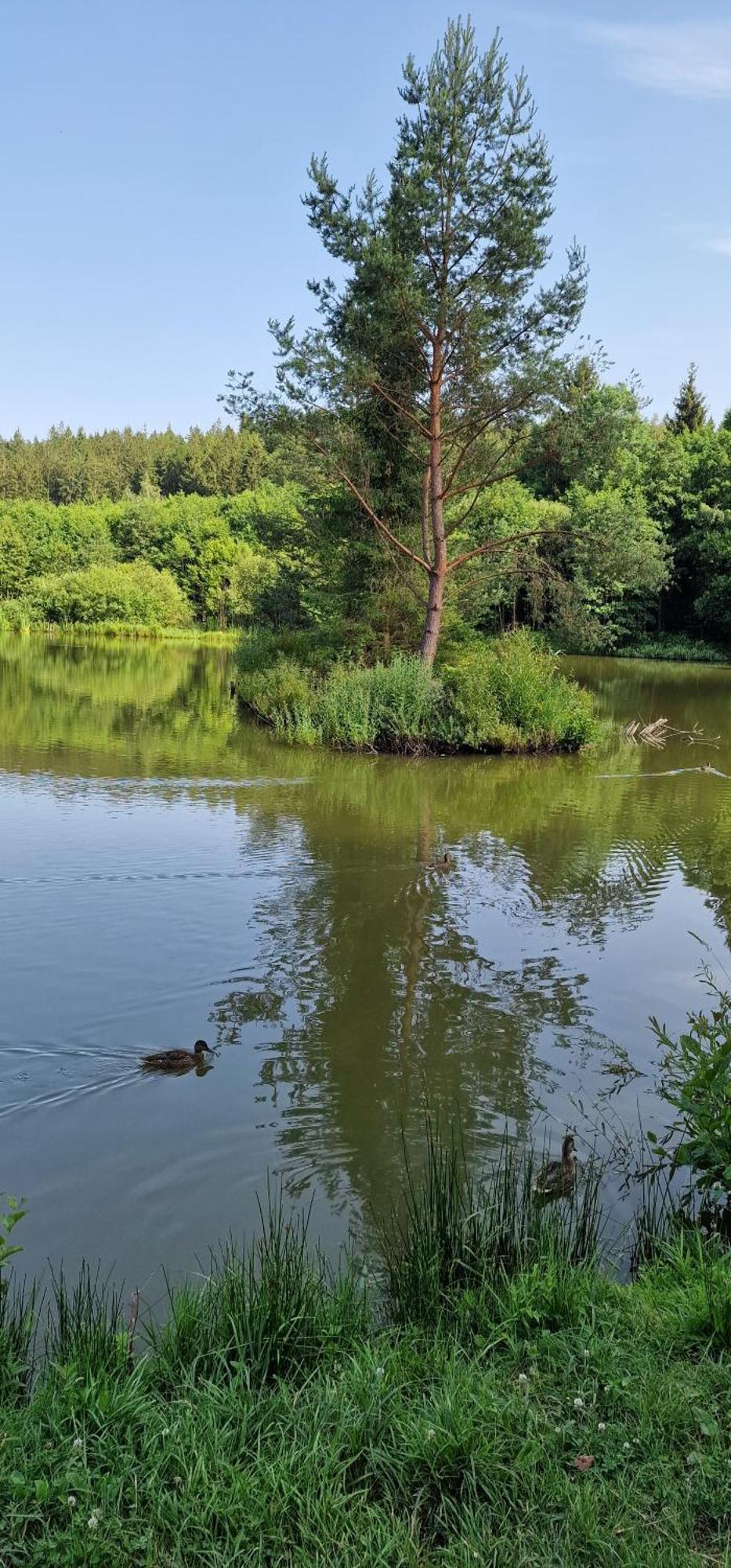 Lux Apartment Park Polanica-Zdrój Eksteriør bilde